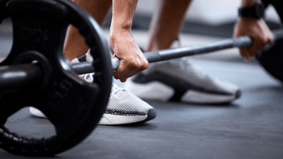 shutterstock_2462417875