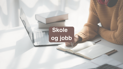 Skole og jobb
