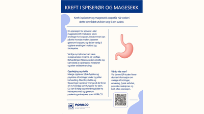 spiserør og magesekkreft
