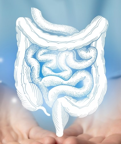 tarmsystem